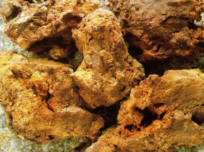 哈爾濱優質鎂鉻磚價格